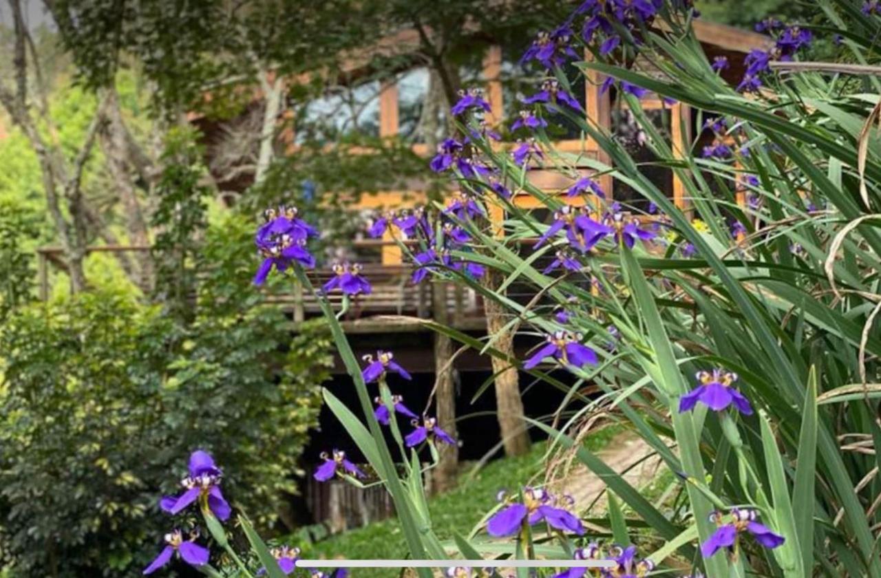 Campos do Jordão Casa De Vidro Com Vista Mantiqueira - Com Cafe E Staff 빌라 외부 사진